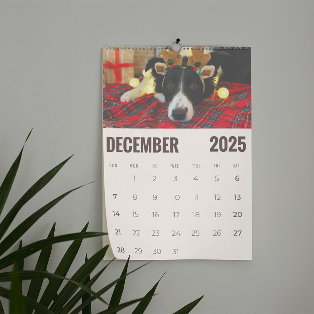 Wall Calendars