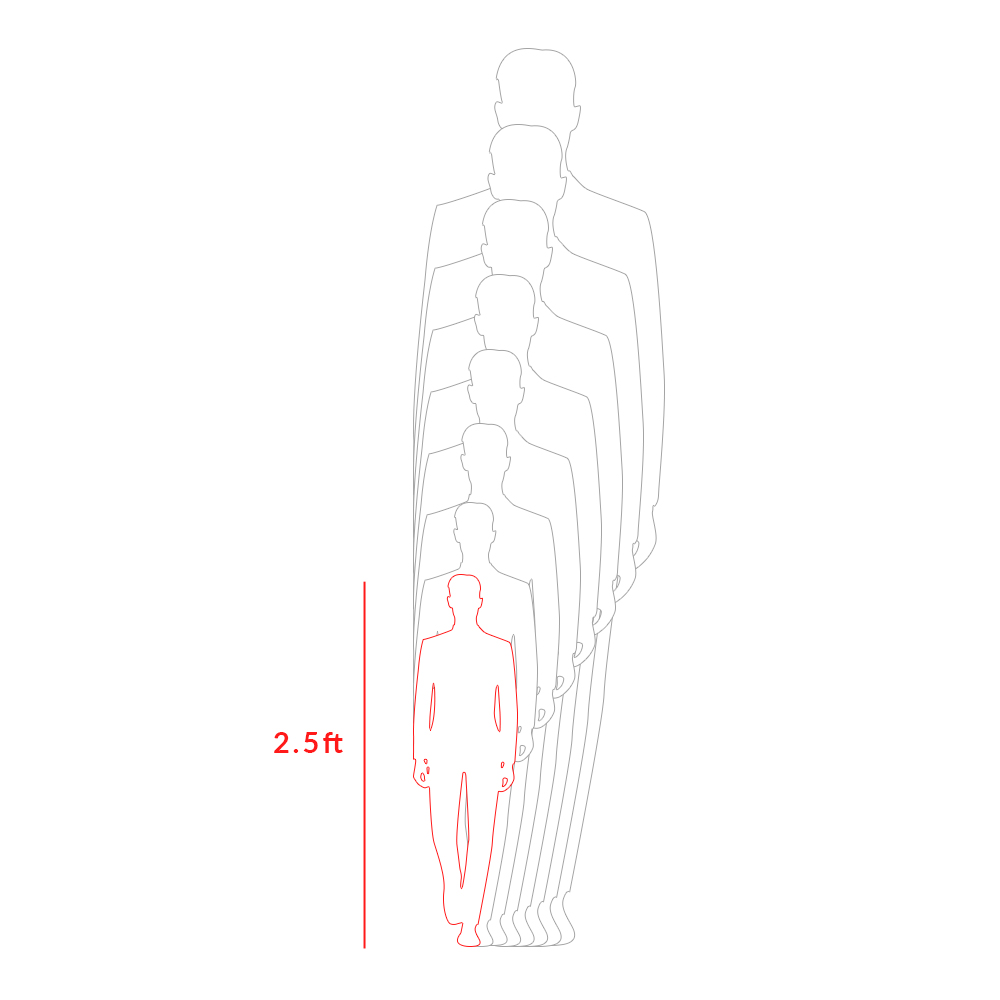 2.5 ft