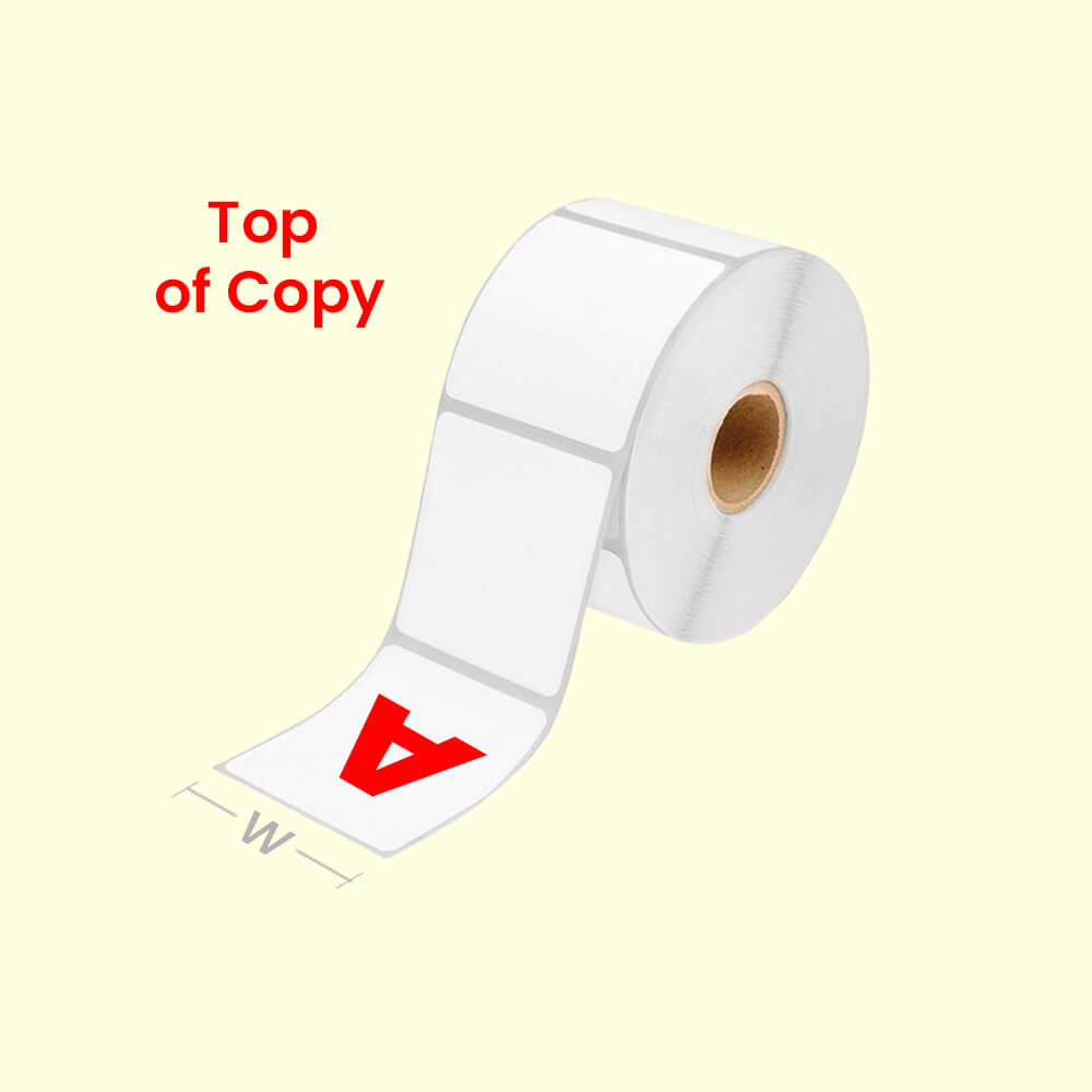 Top of Copy 