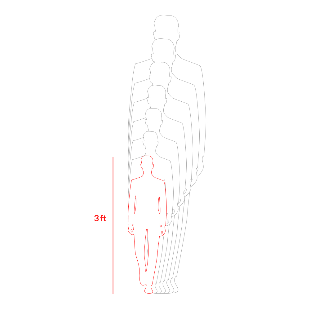 3 ft