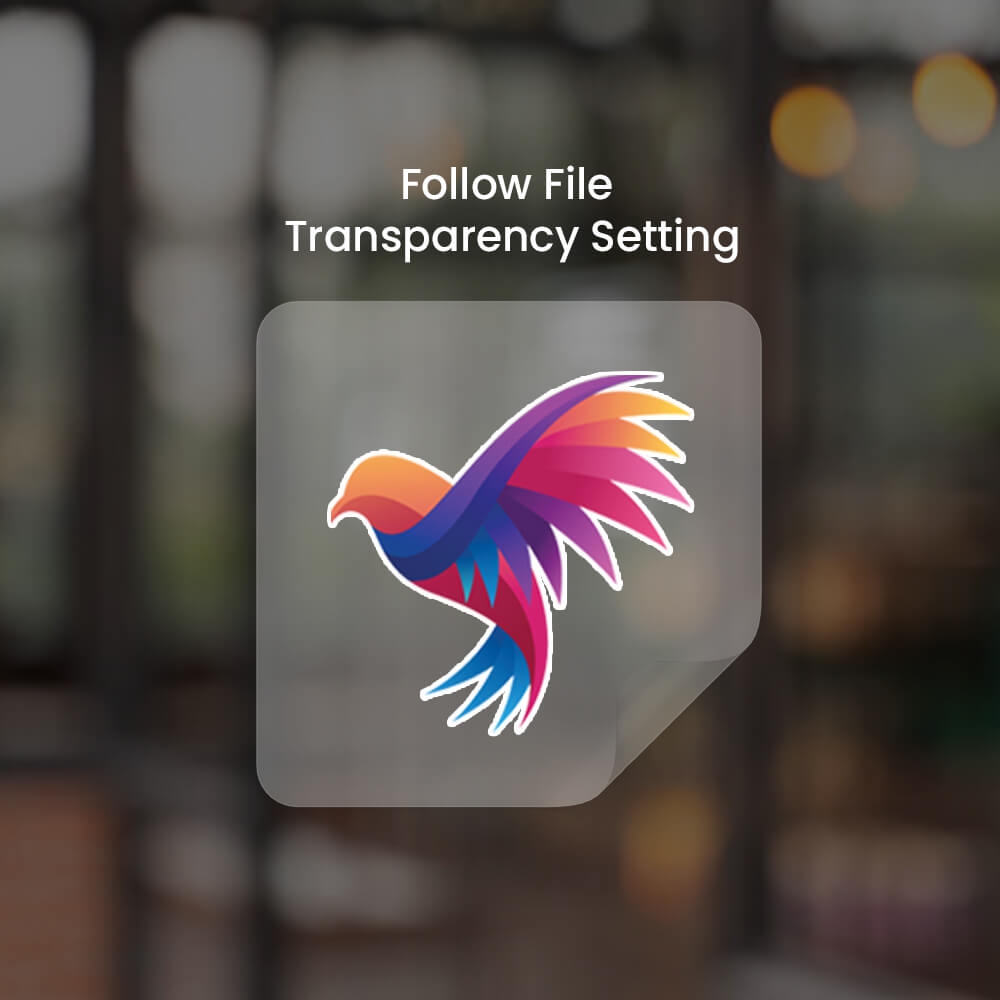 Follow File Transparency Settings