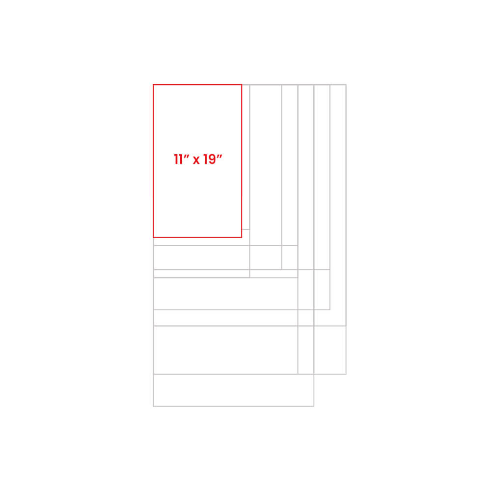 11x19