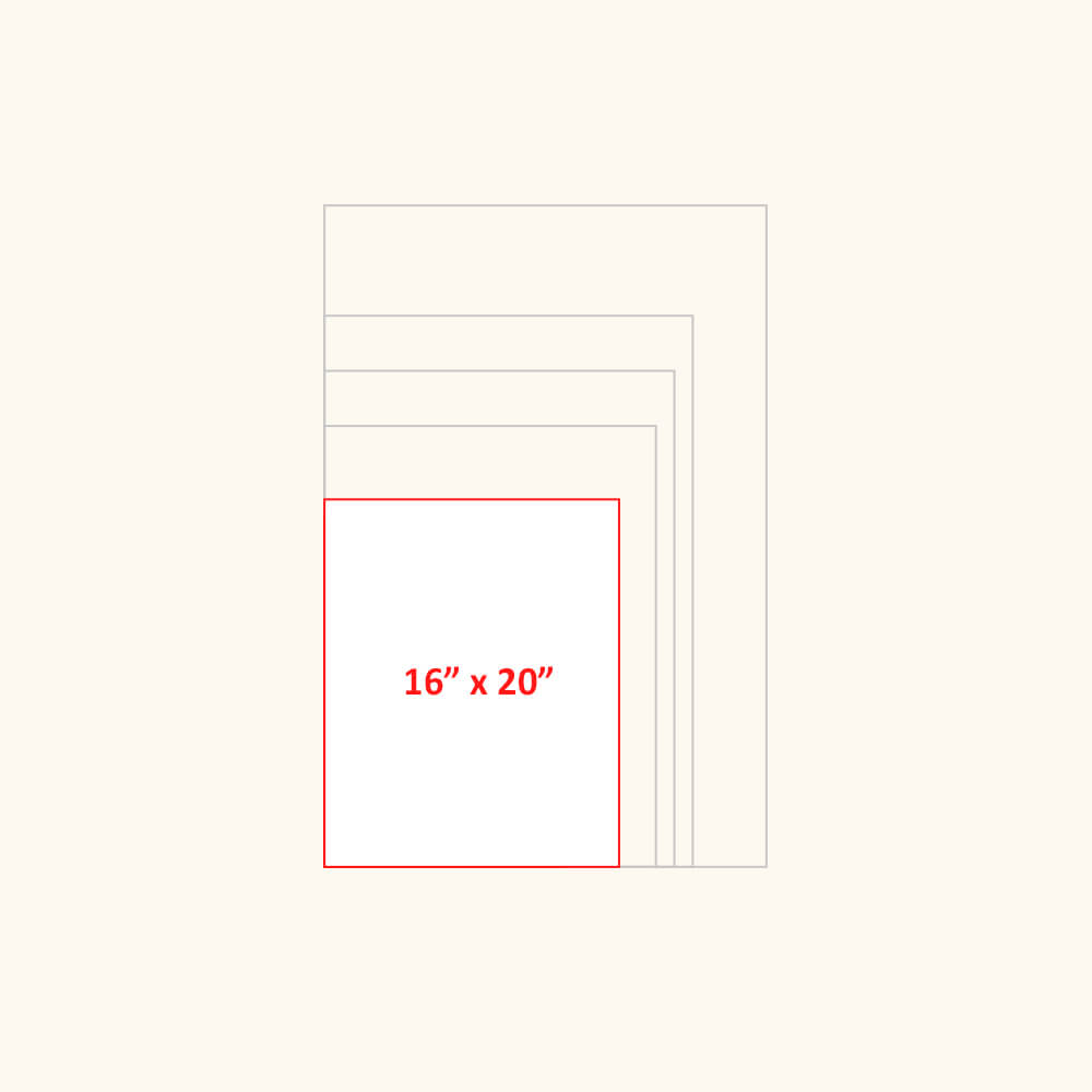 16 x 20