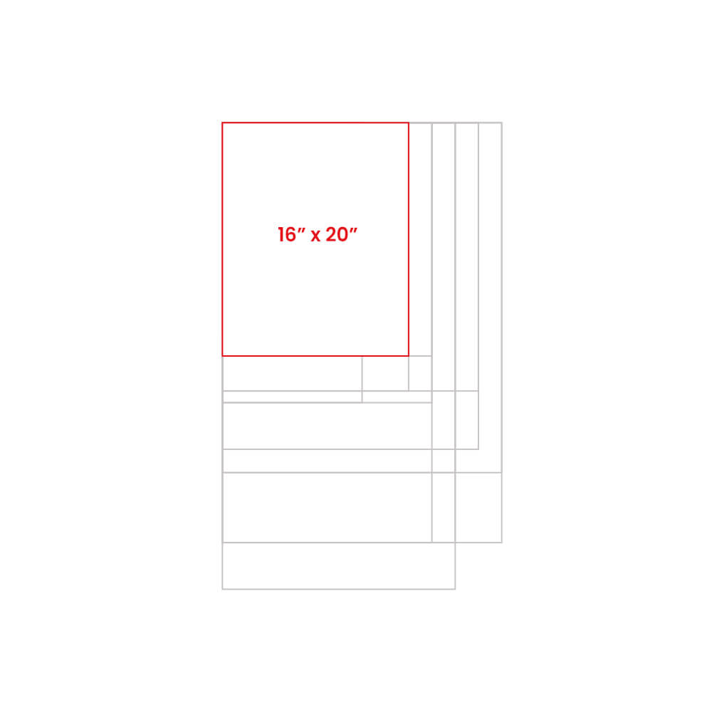 16x20