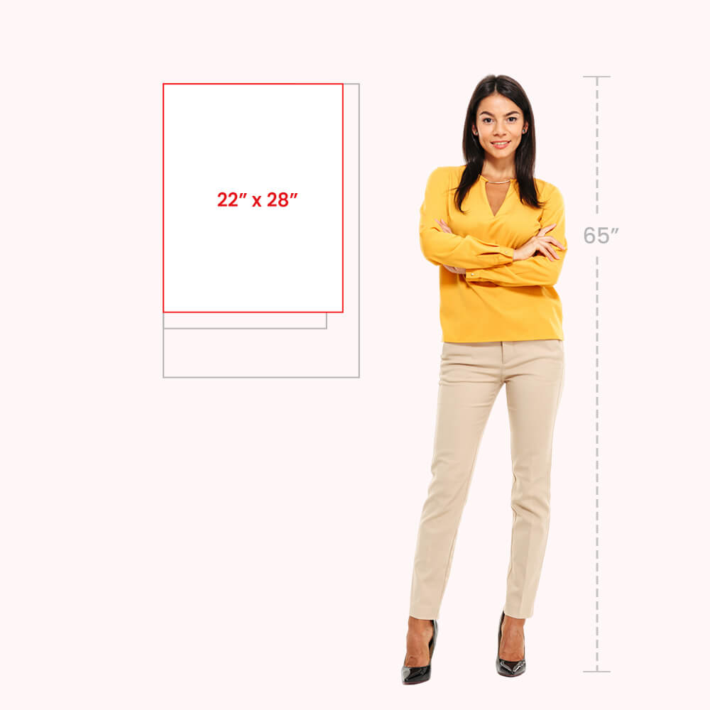 22 x 28