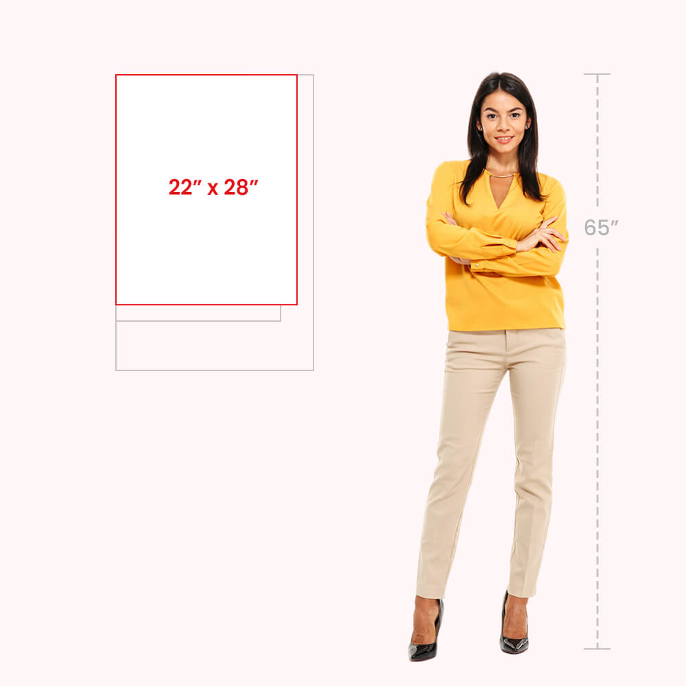 22 x 28