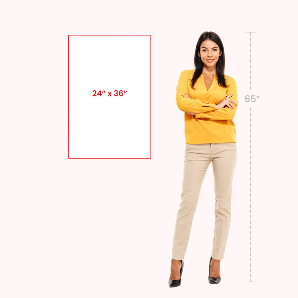 24 x 36
