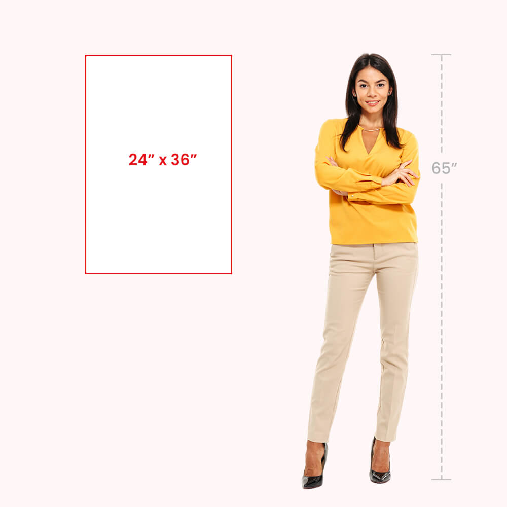 24 x 36