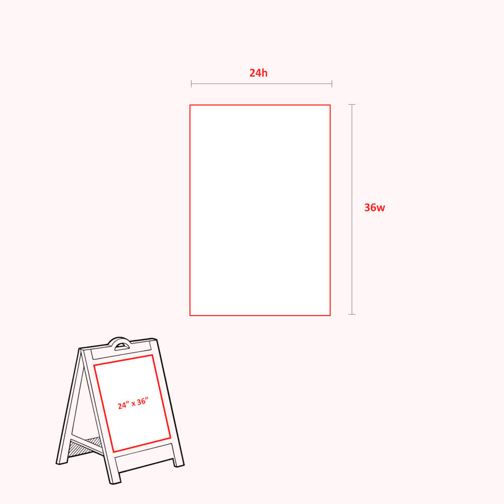 24 x 36