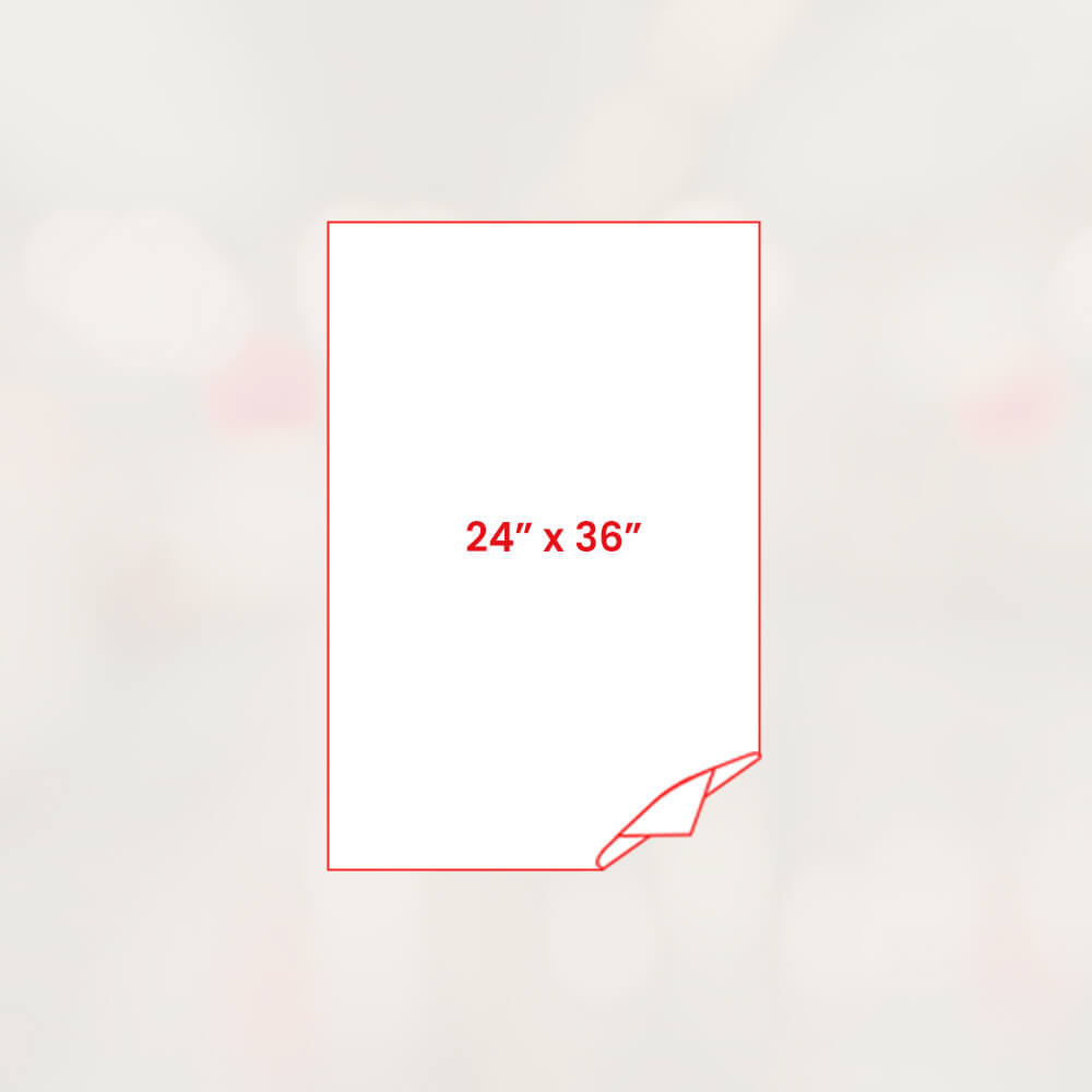 24x 36