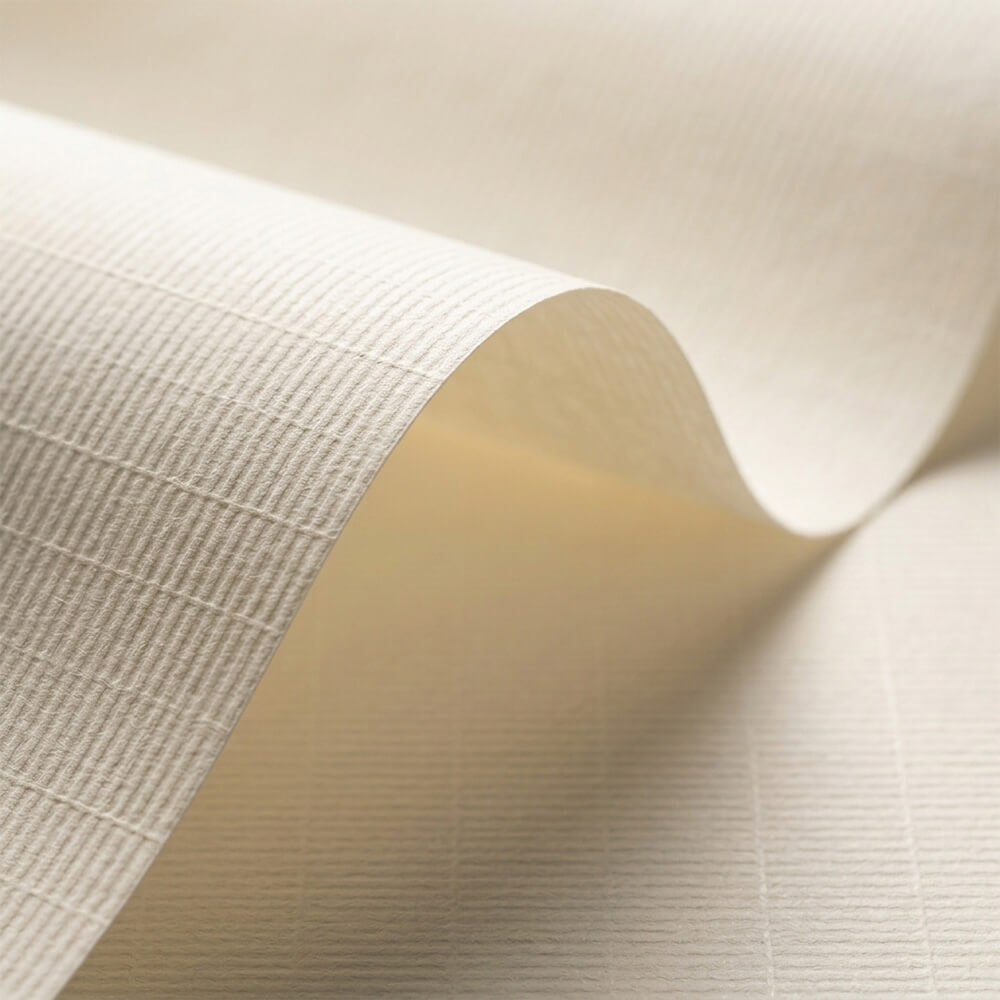 Cream Laid Texture - Estate #9 
